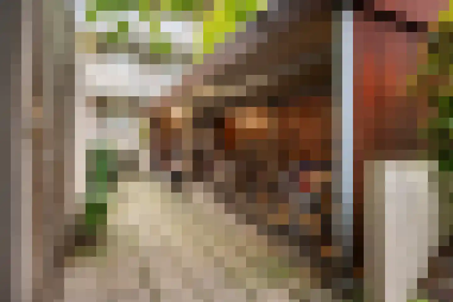 Boekhorstenstraat 15 Arnhem thumbnail 31