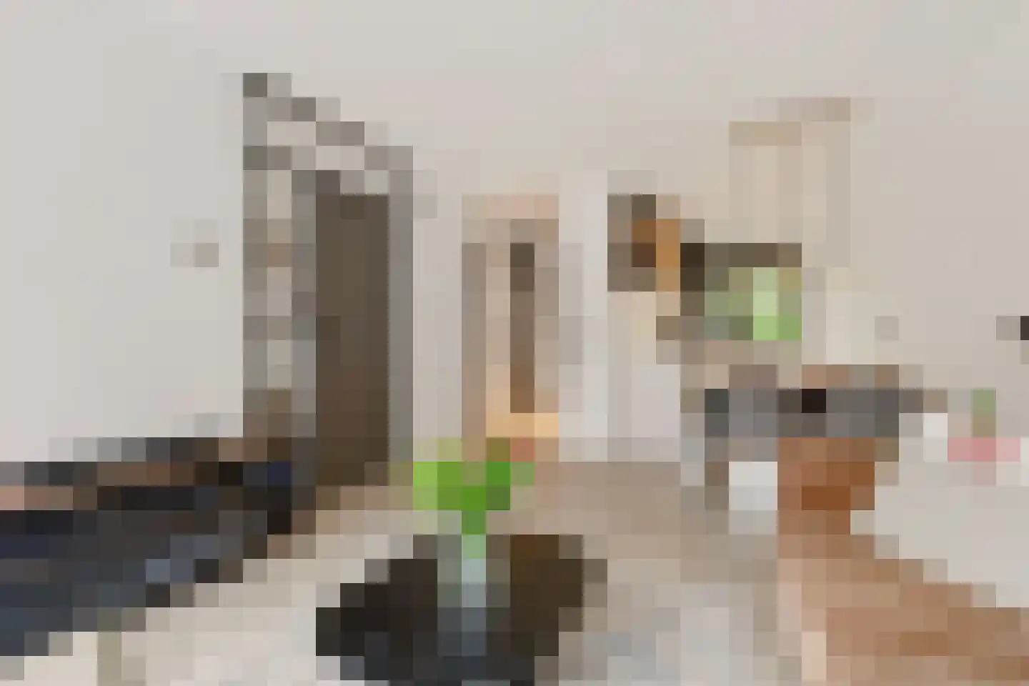 Boekhorstenstraat 15 Arnhem thumbnail 5