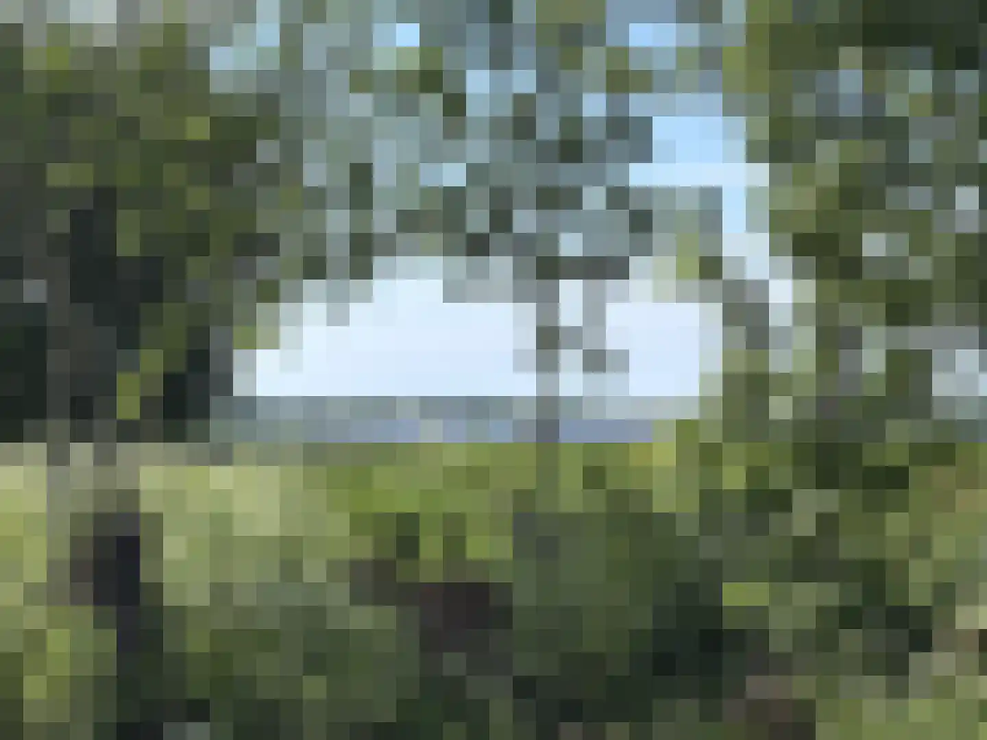 Boekhorsterweg 21 200 Warmond thumbnail 66