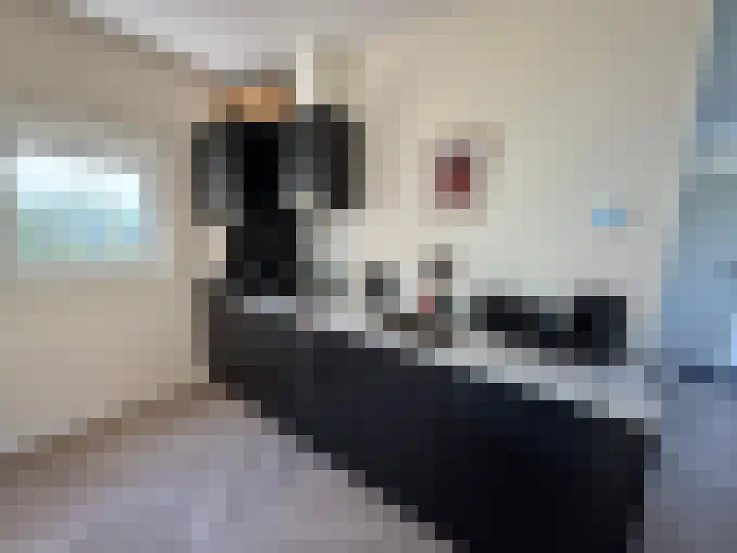 Boekhorsterweg 21 334 Warmond thumbnail 11