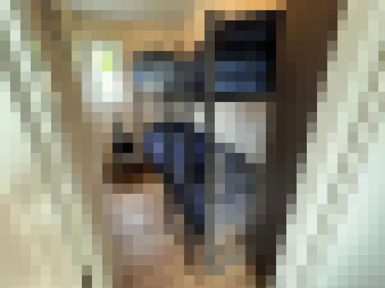 Boekhorsterweg 21 W12 Warmond thumbnail 12