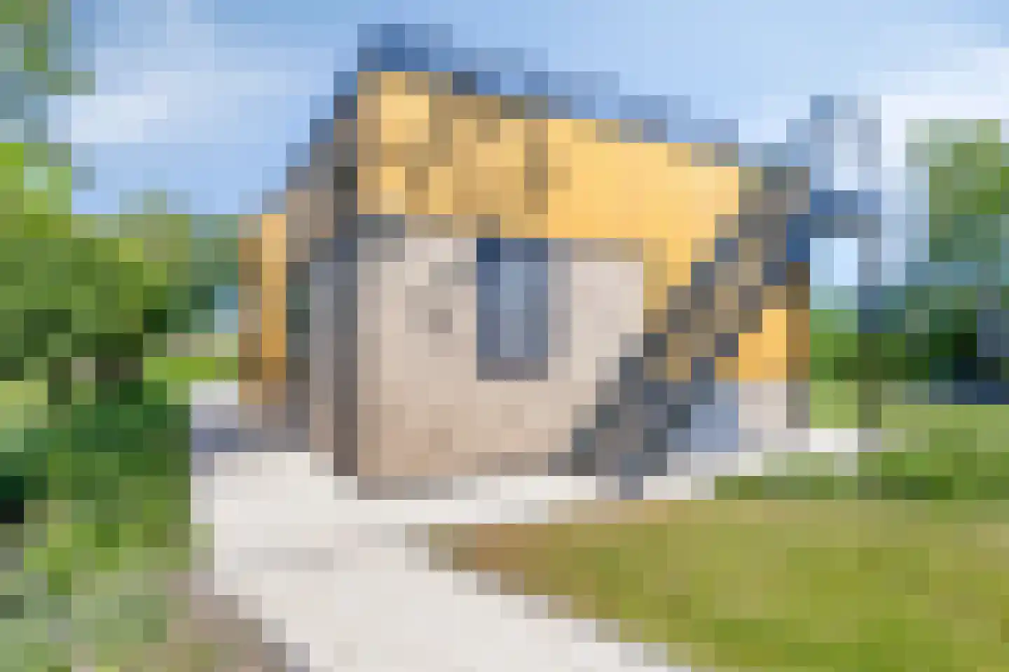 Boekhorsterweg 21 W12 Warmond thumbnail 12