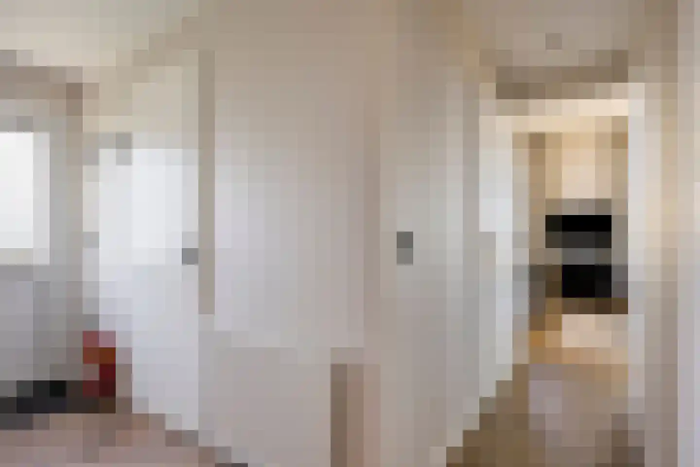 Boekhorsterweg 21 W12 Warmond thumbnail 13
