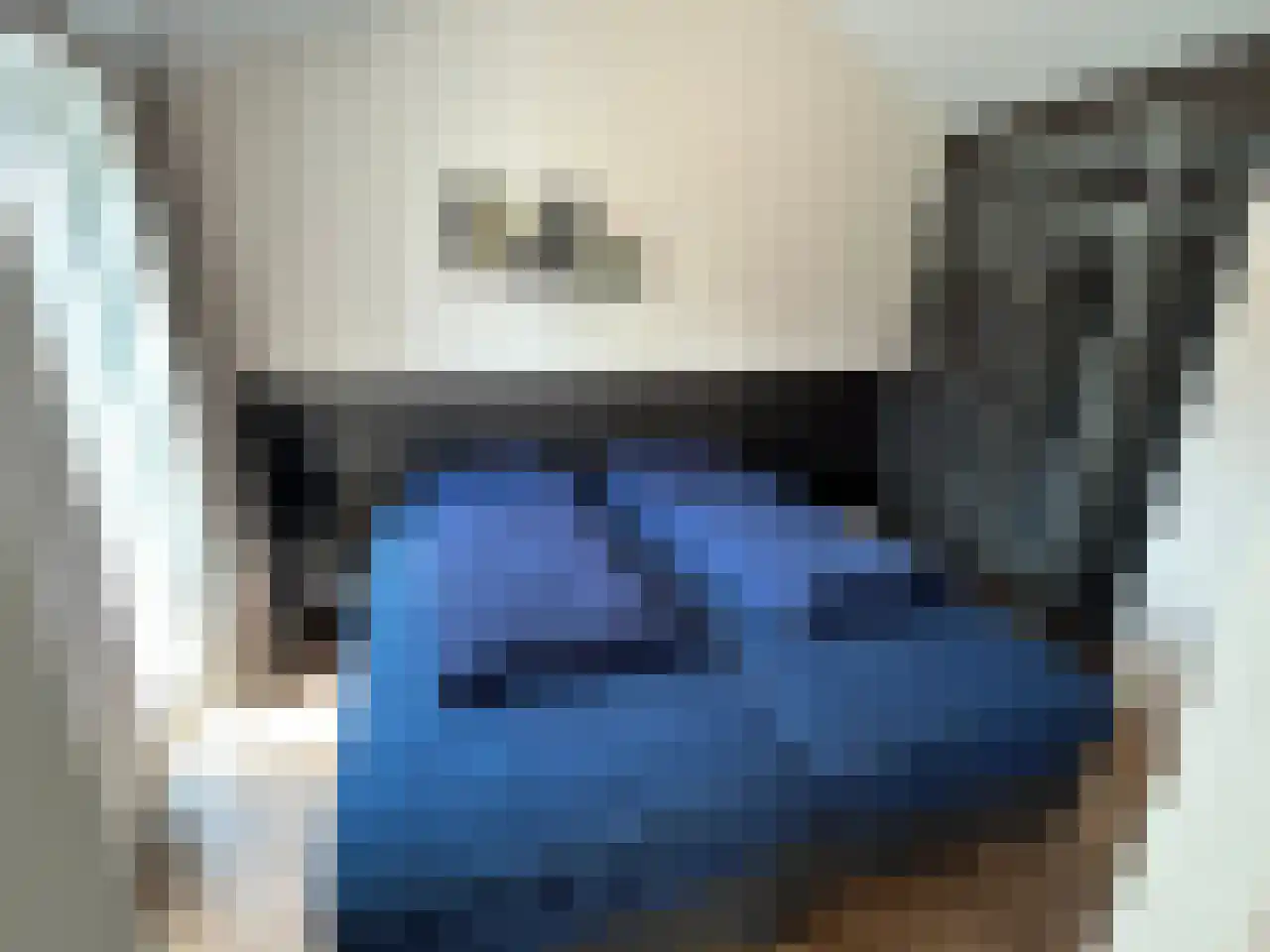 Boekhorsterweg 21 W12 Warmond thumbnail 14