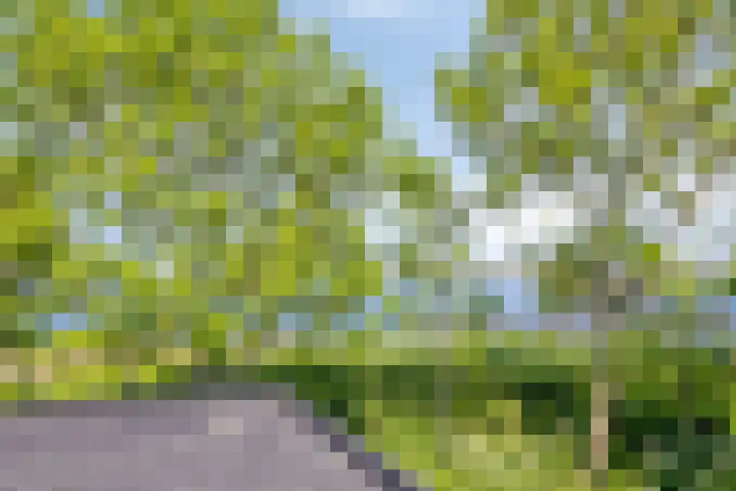 Boekhorsterweg 21 W12 Warmond thumbnail 49