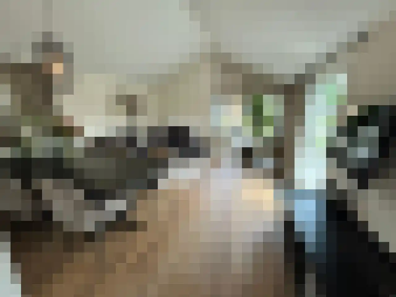 Boekhorsterweg 21 W12 Warmond thumbnail 5