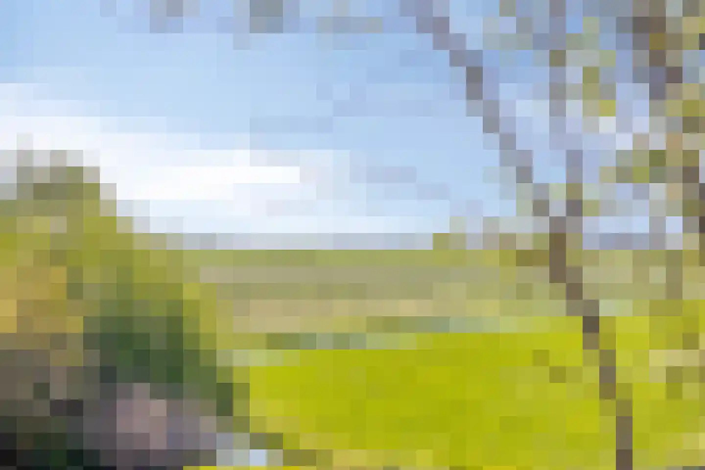 Boekhorsterweg 21 W12 Warmond thumbnail 52