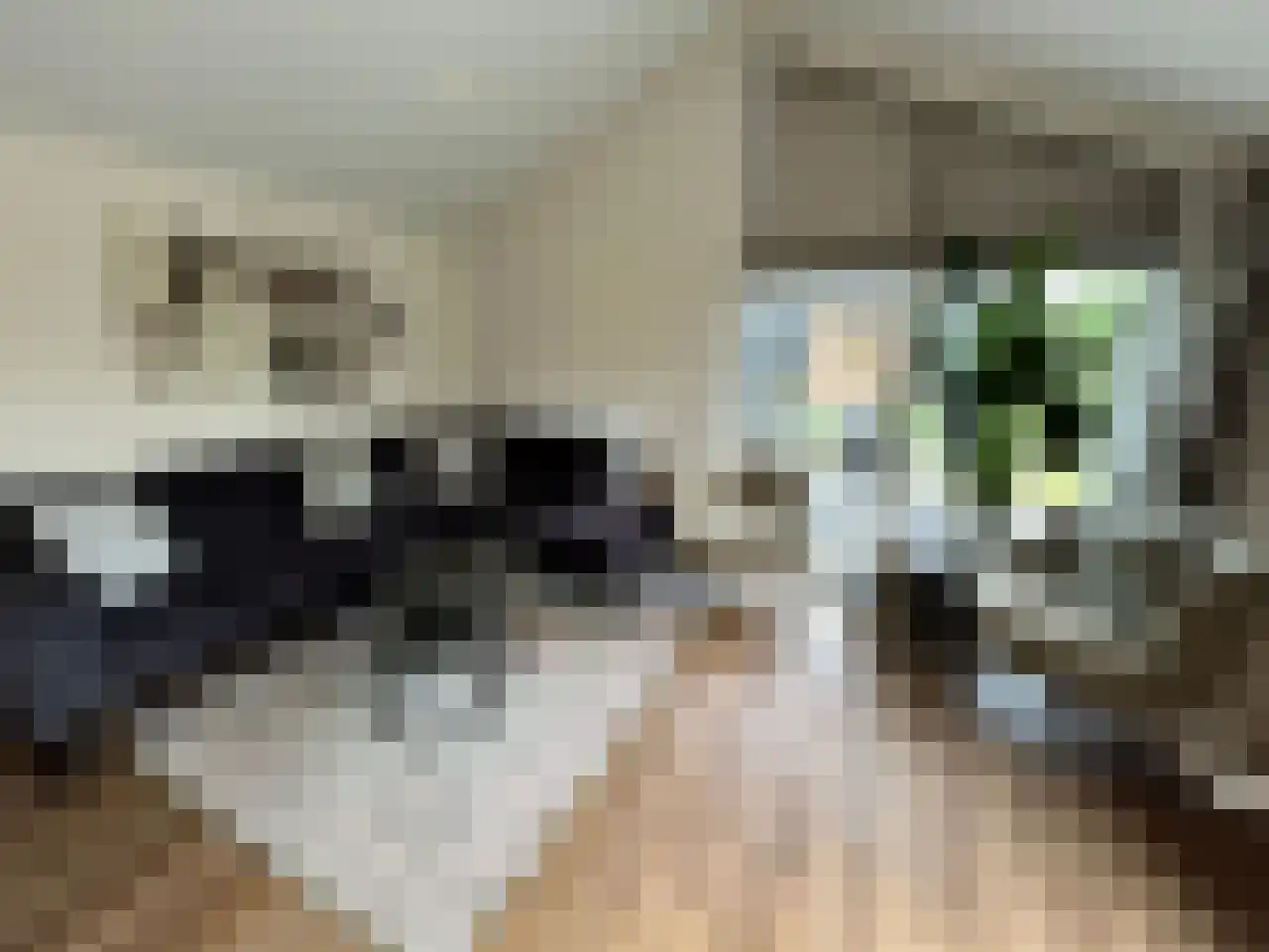 Boekhorsterweg 21 W12 Warmond thumbnail 6