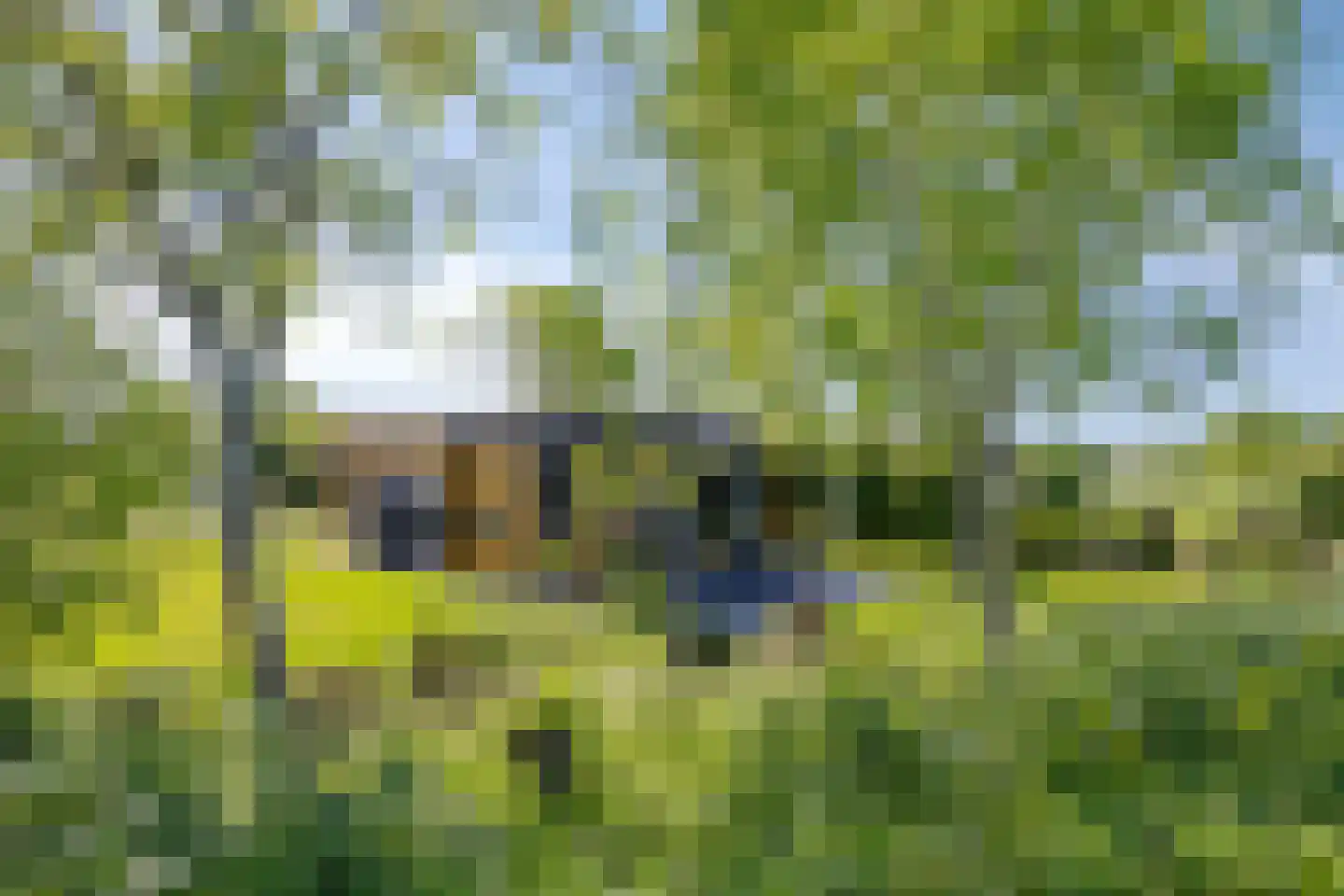 Boekhorsterweg 21 W12 Warmond thumbnail 8