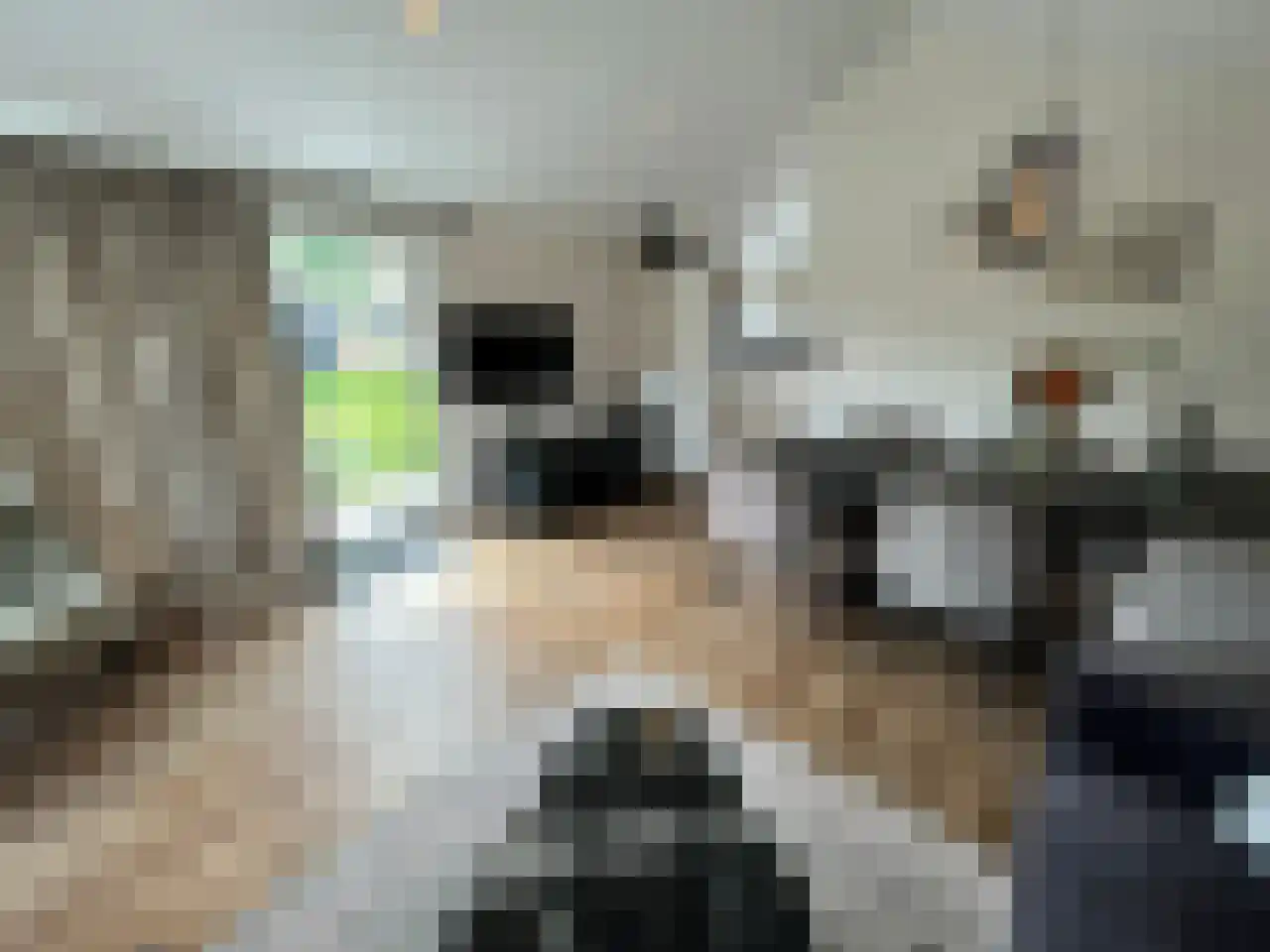 Boekhorsterweg 21 W12 Warmond thumbnail 8