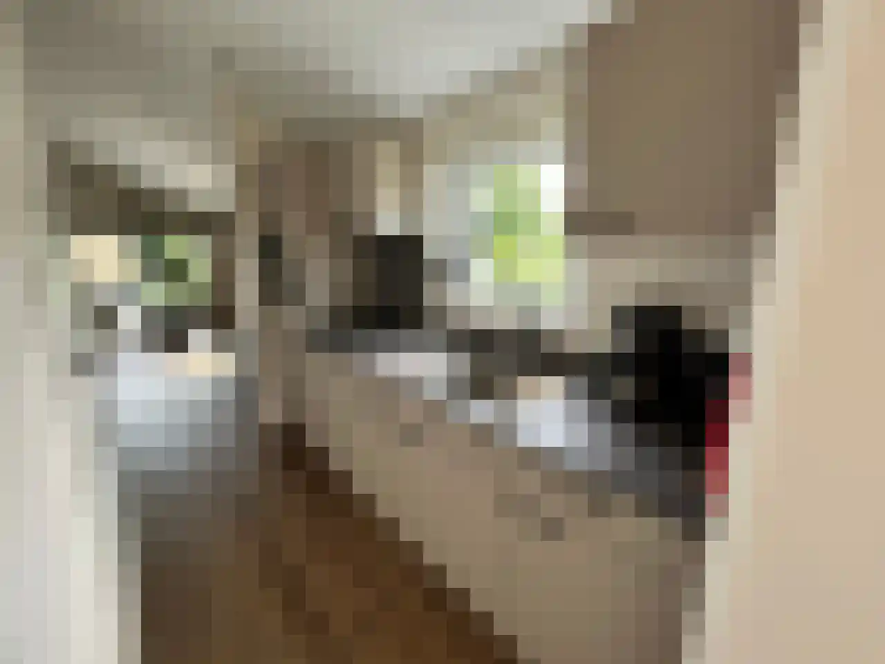 Boekhorsterweg 21 W12 Warmond thumbnail 9