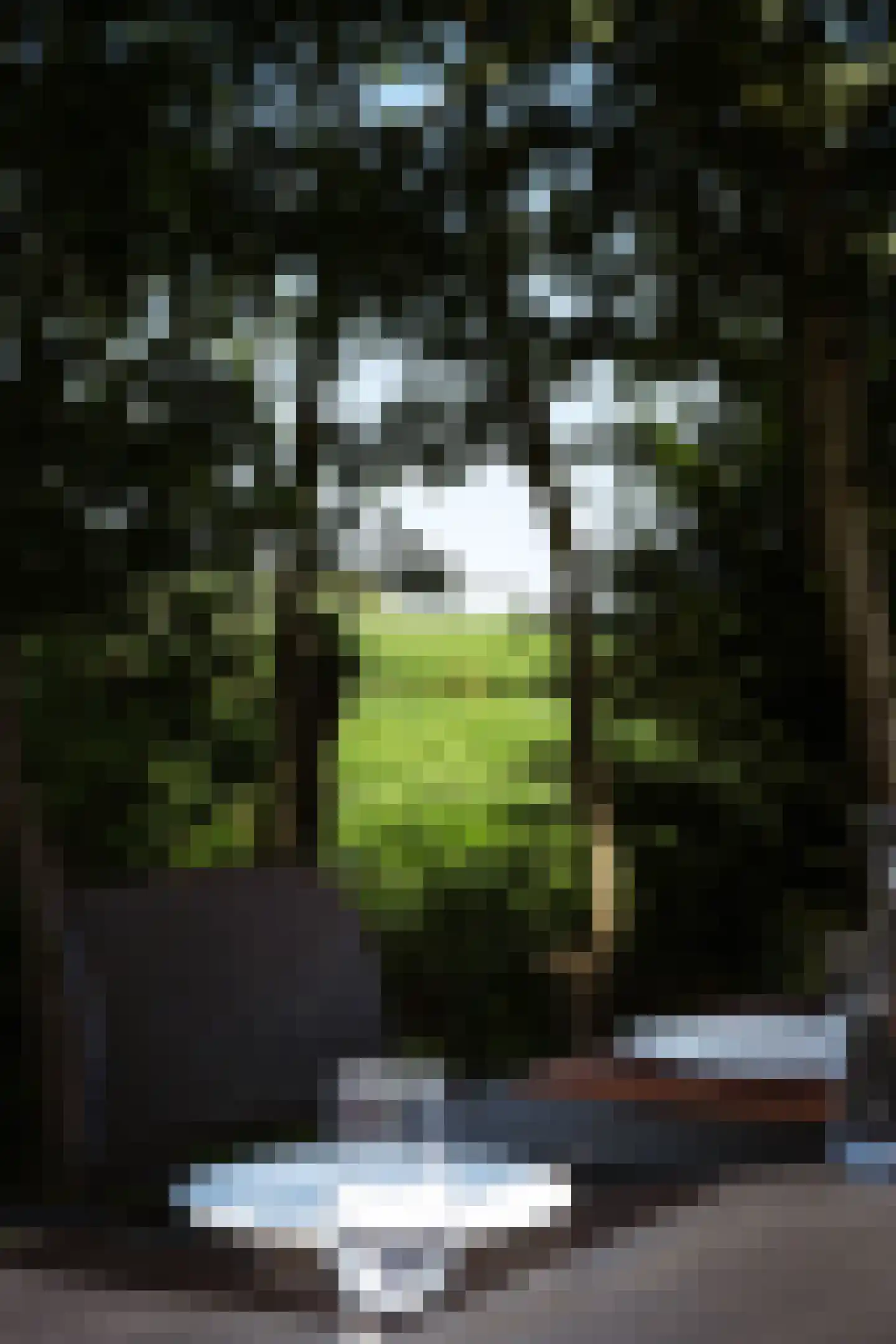 Boekhorsterweg 21 Warmond thumbnail 19