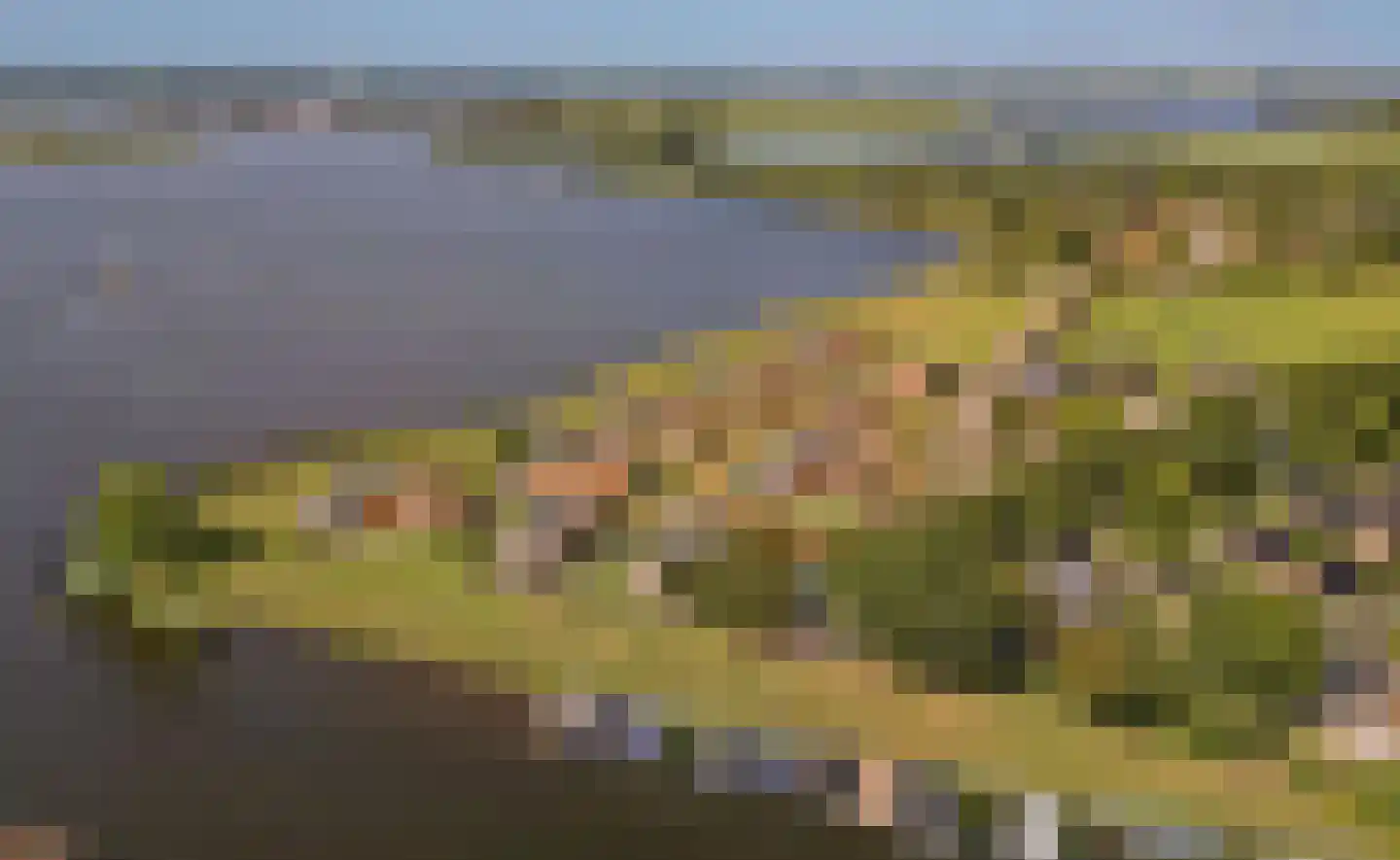 Boekhorsterweg 21 Warmond thumbnail 30