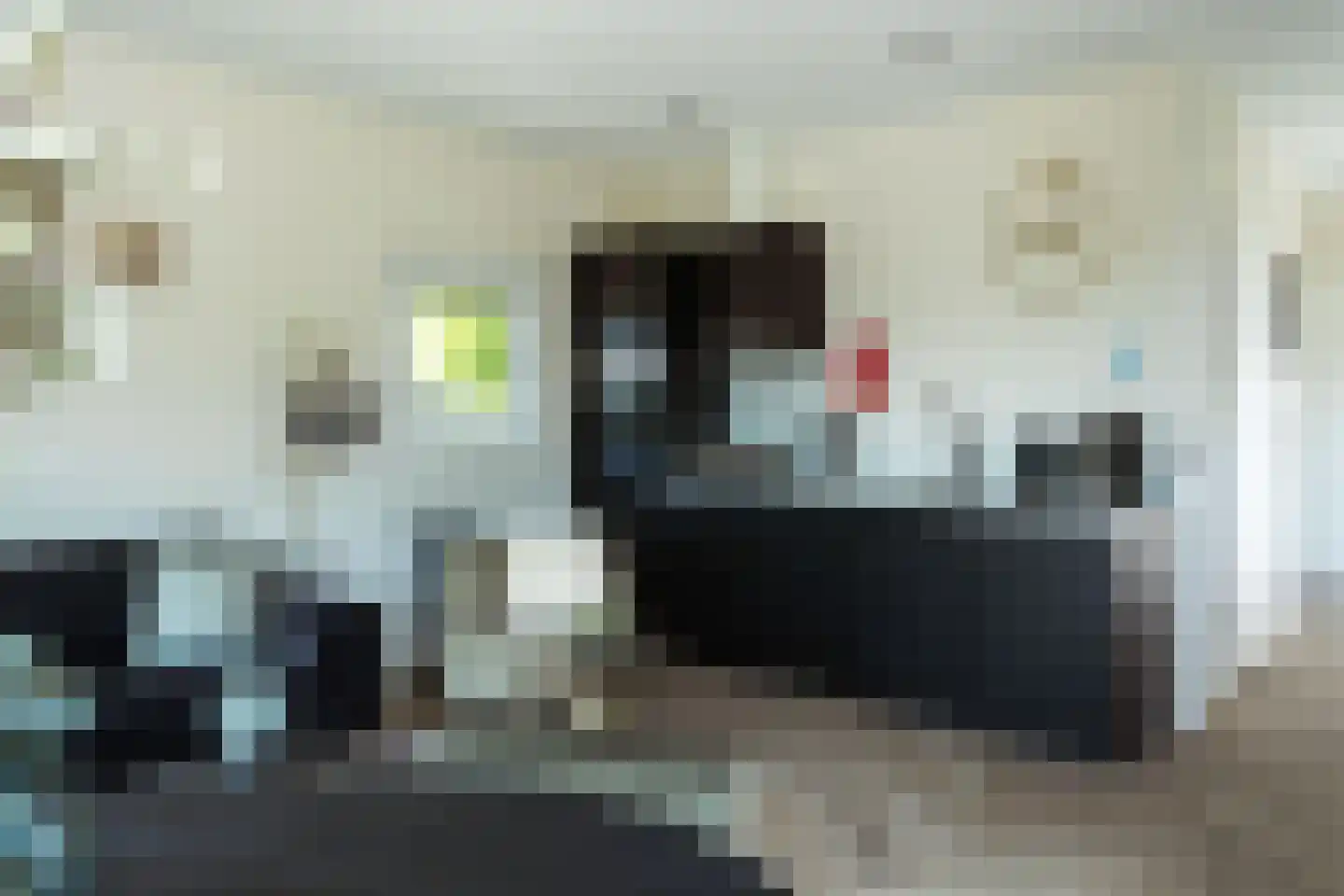 Boekhorsterweg 21 Warmond thumbnail 4