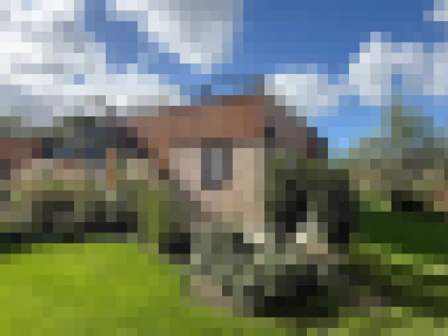 Boekhorsterweg 21 Warmond thumbnail 5