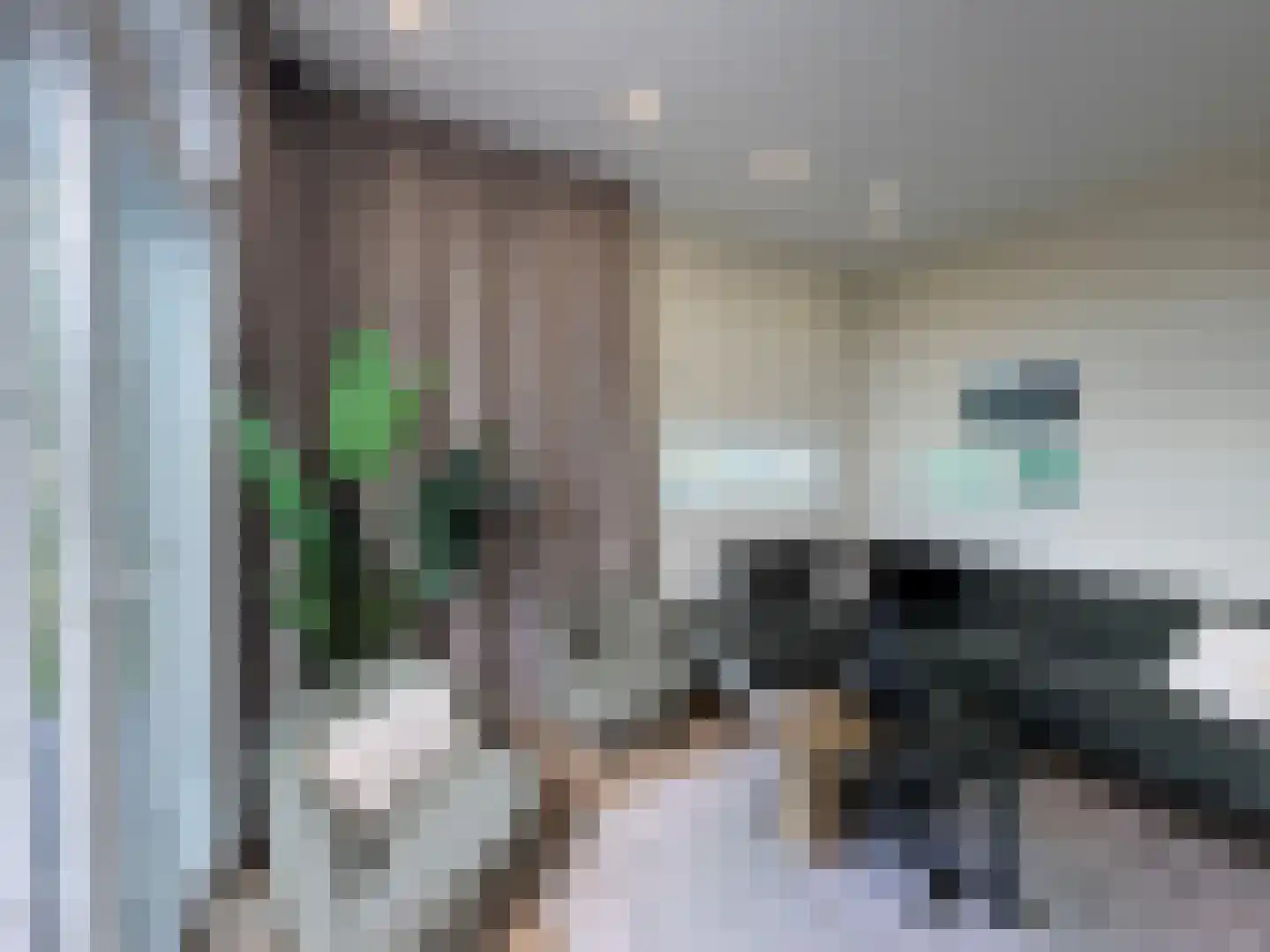 Boekhorsterweg 21 Warmond thumbnail 7
