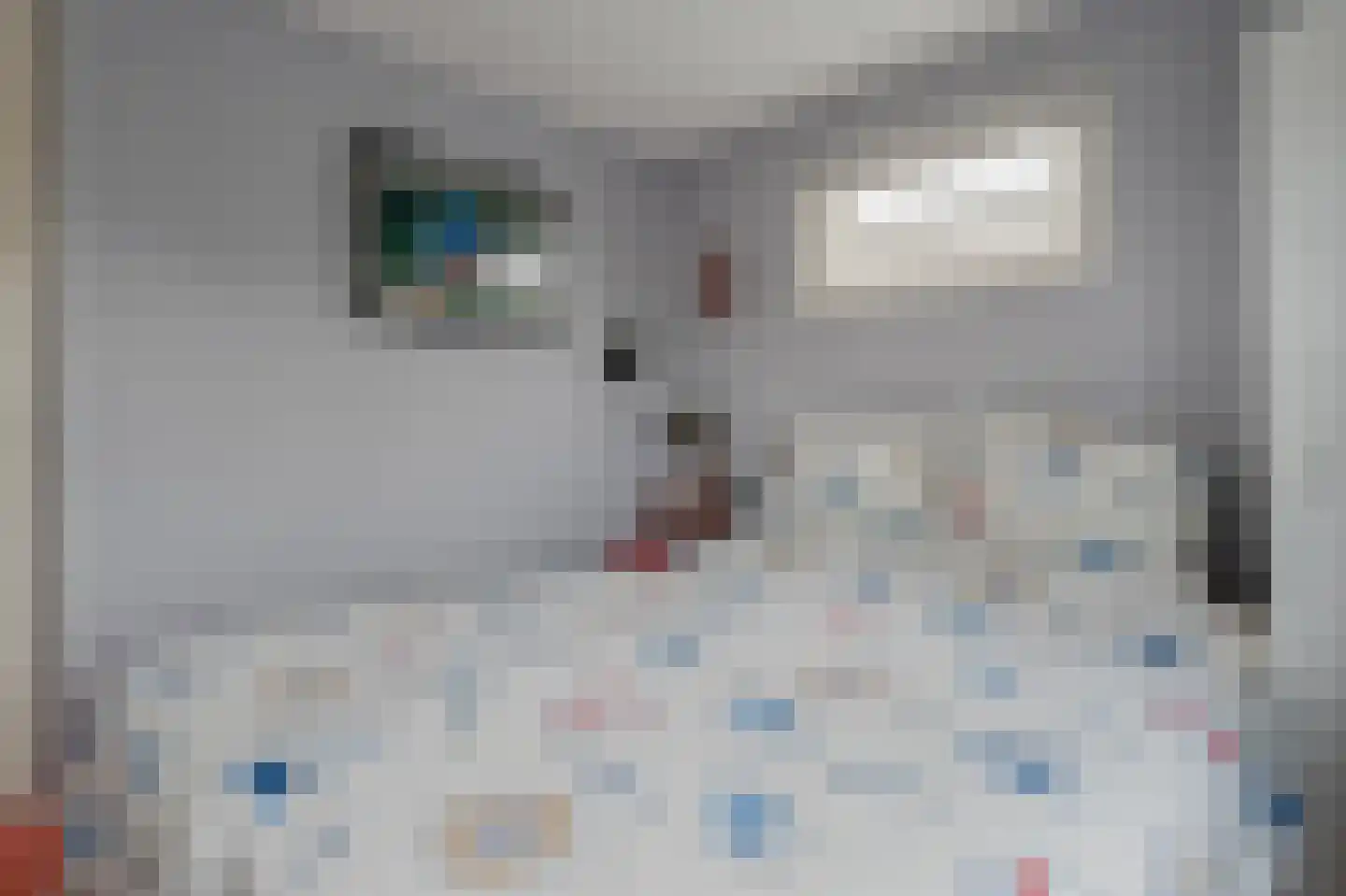 Boekhorsterweg 22 W2 Warmond thumbnail 30