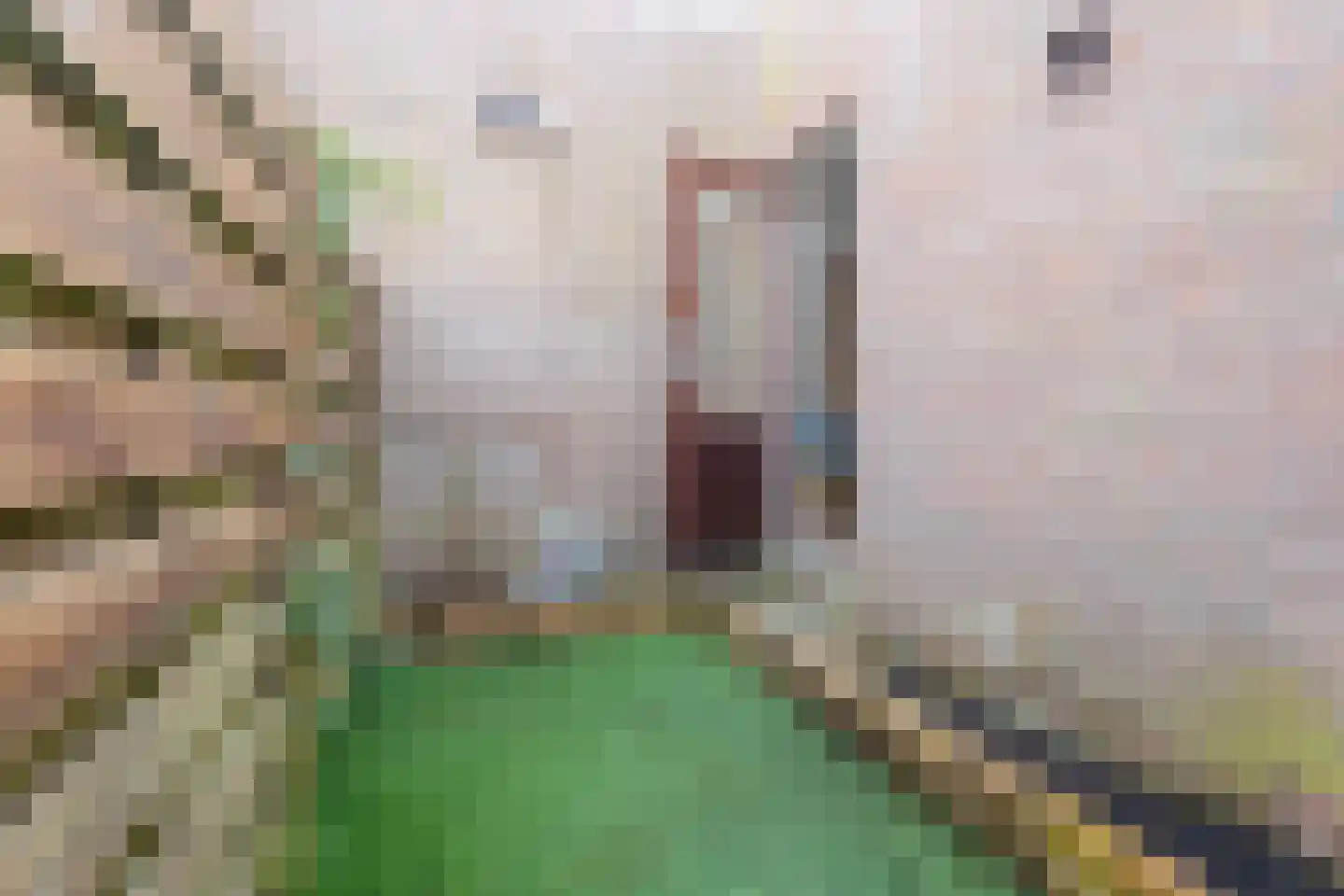 Boekhorstlaan 1 Voorhout thumbnail 45