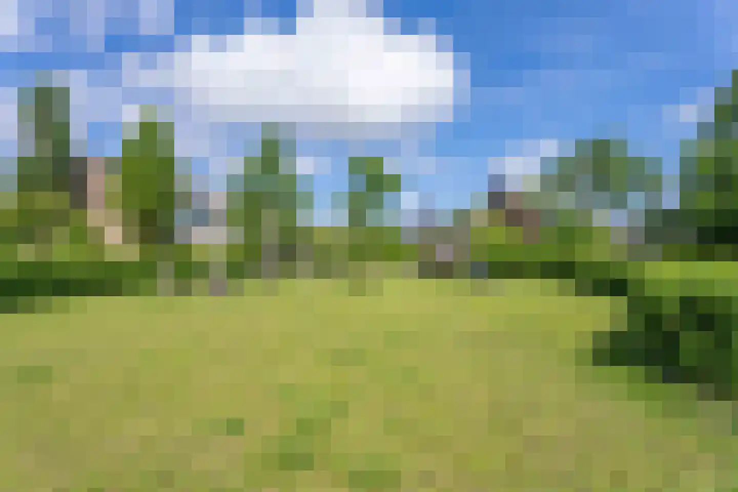 Boekhorstlaan 122 Voorhout thumbnail 34