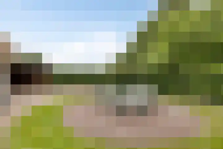 Boekhorstlaan 14 Lochem thumbnail 32