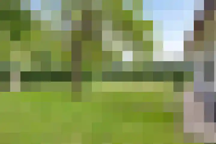 Boekhorstlaan 14 Lochem thumbnail 33