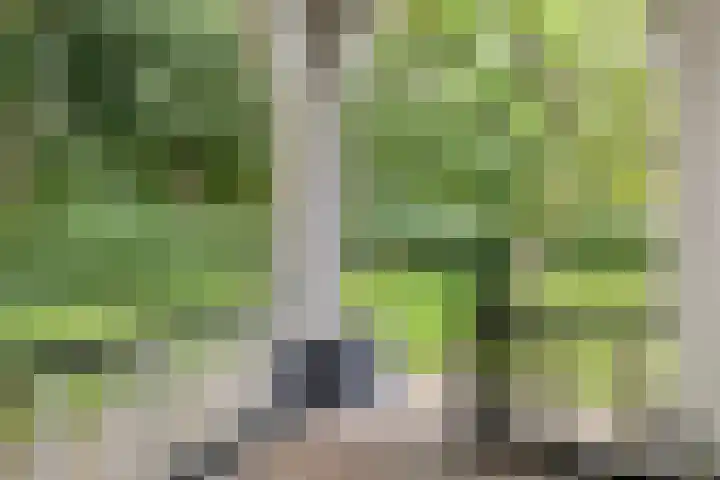 Boekhorstlaan 14 Lochem thumbnail 36