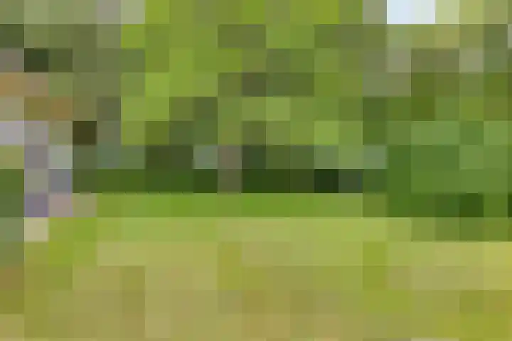 Boekhorstlaan 14 Lochem thumbnail 37