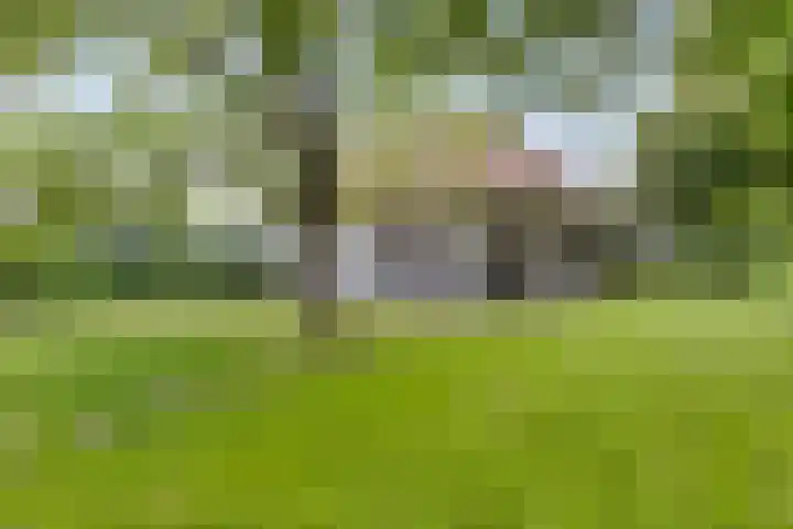 Boekhorstlaan 14 Lochem thumbnail 38