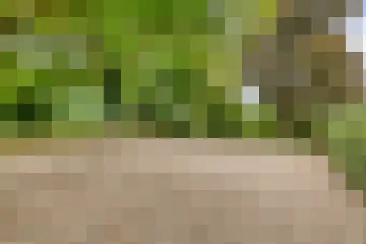 Boekhorstlaan 14 Lochem thumbnail 39