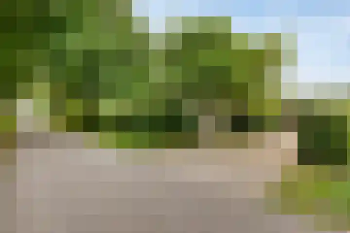 Boekhorstlaan 14 Lochem thumbnail 40