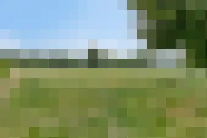 Boekhorstlaan 14 Lochem thumbnail 41