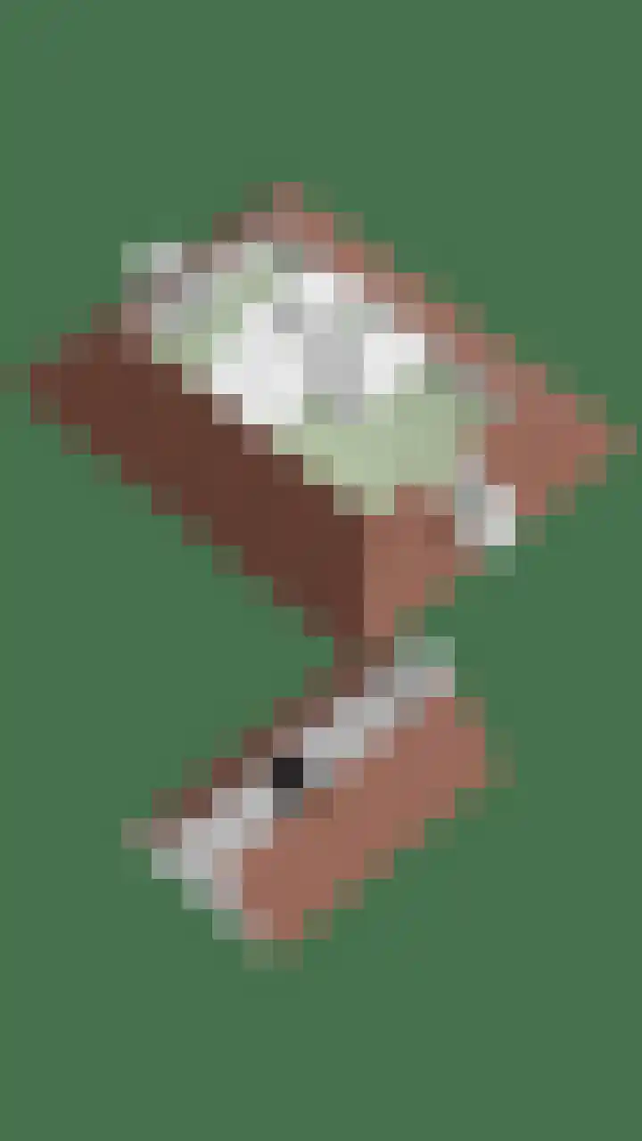 Boekhorstlaan 14 Lochem thumbnail 46