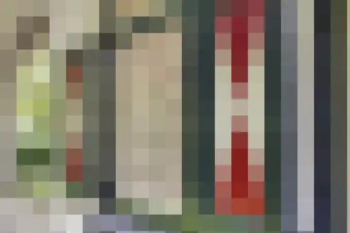 Boekhorstlaan 14 Lochem thumbnail 5