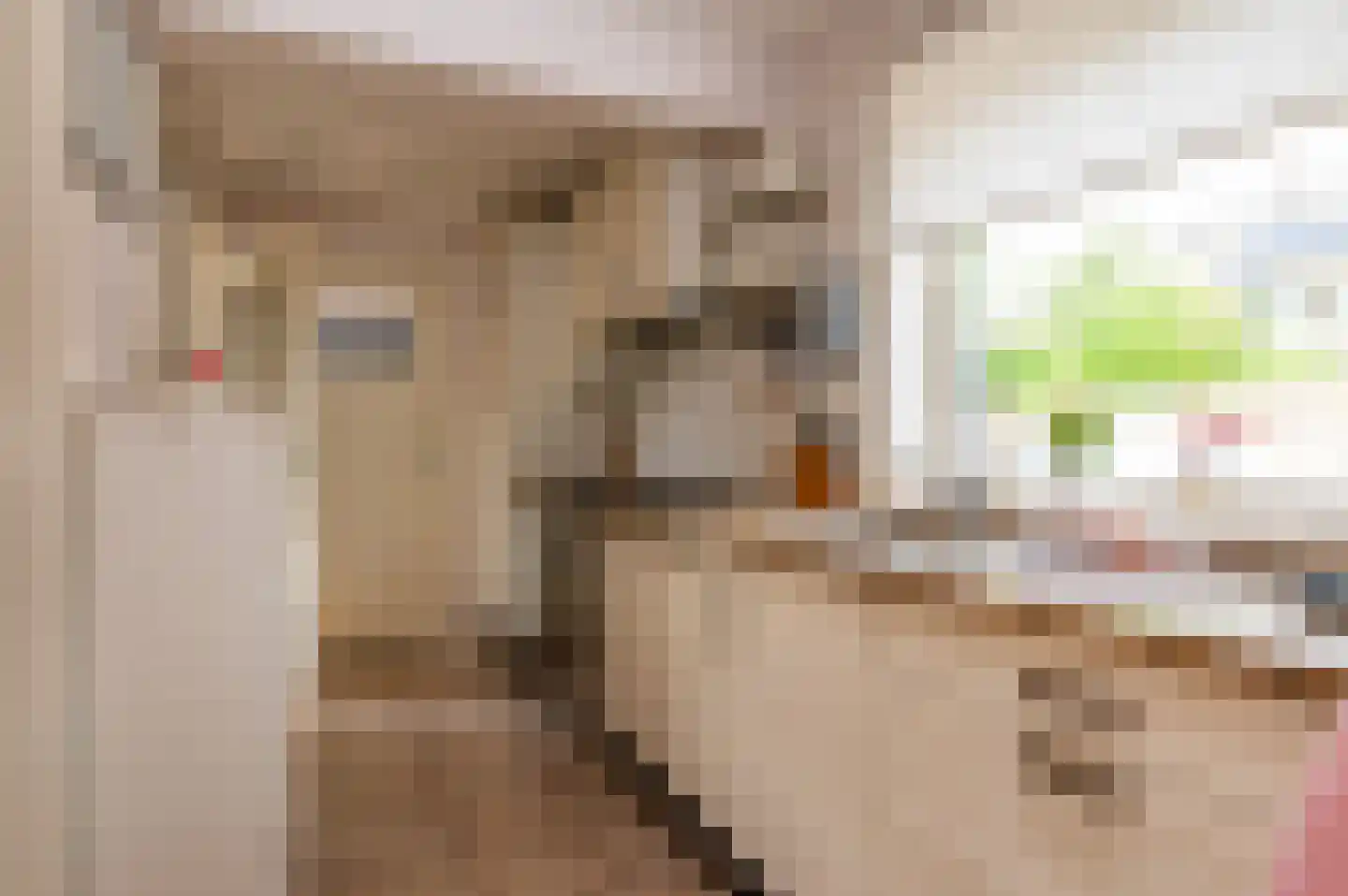 Boekhorstlaan 157 Voorhout thumbnail 16