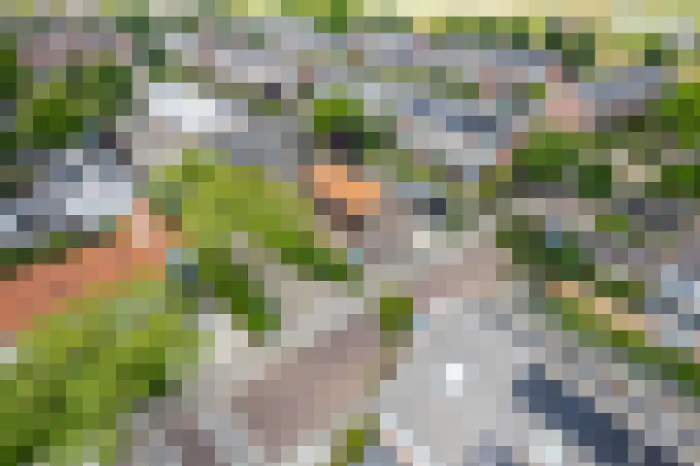Boekhorstlaan 157 Voorhout thumbnail 31
