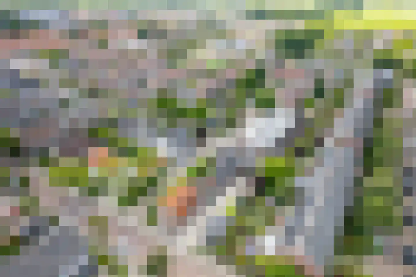 Boekhorstlaan 157 Voorhout thumbnail 32
