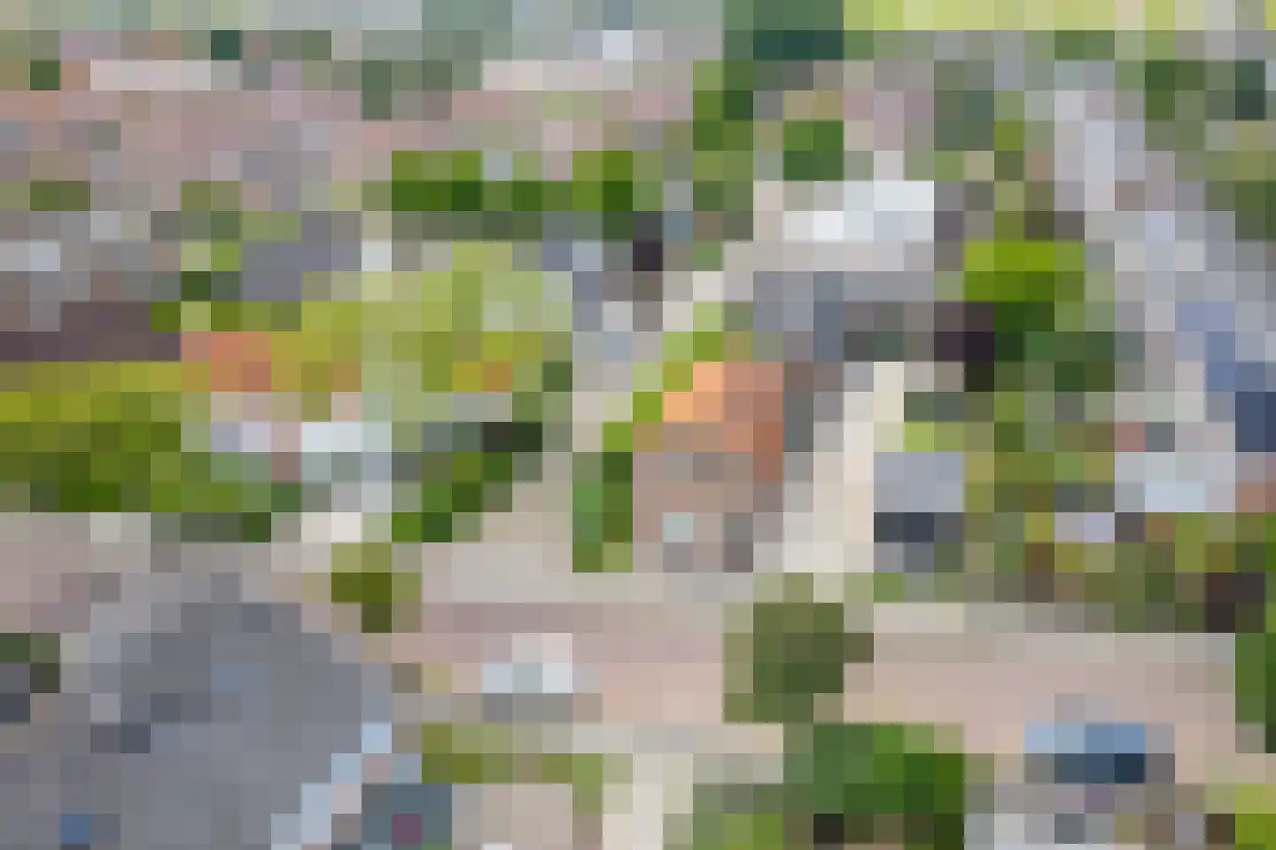Boekhorstlaan 157 Voorhout thumbnail 4