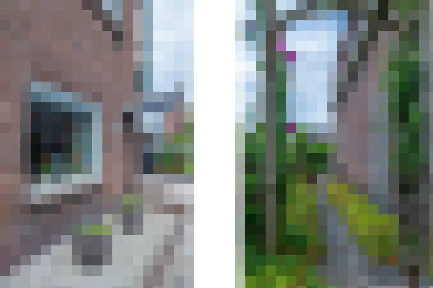 Boekhorstlaan 157 Voorhout thumbnail 7