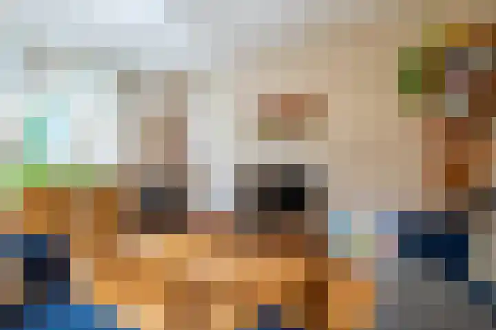 Boekhorstlaan 159 Voorhout thumbnail 18