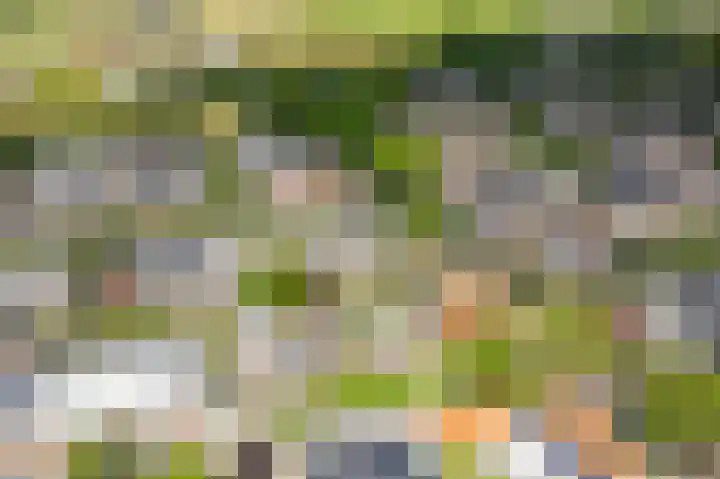 Boekhorstlaan 159 Voorhout thumbnail 27