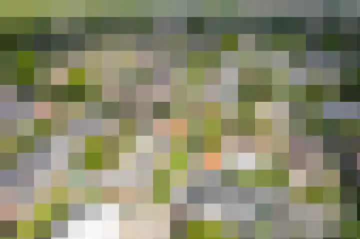 Boekhorstlaan 159 Voorhout thumbnail 28