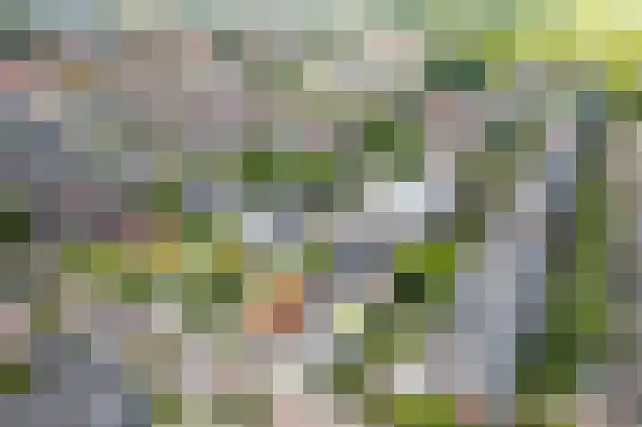 Boekhorstlaan 159 Voorhout thumbnail 29