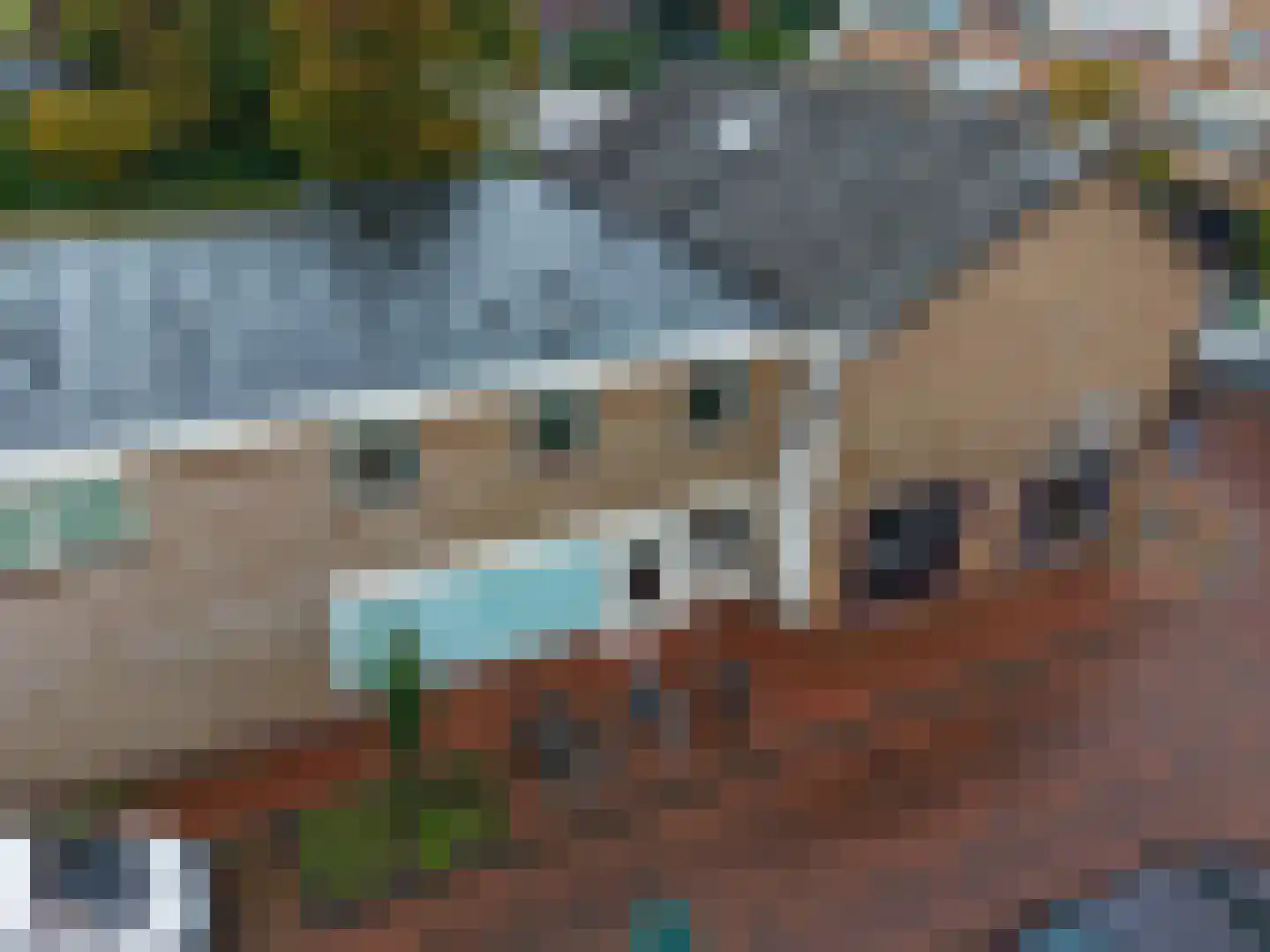 Boekhorstlaan 2 b Voorhout thumbnail 8