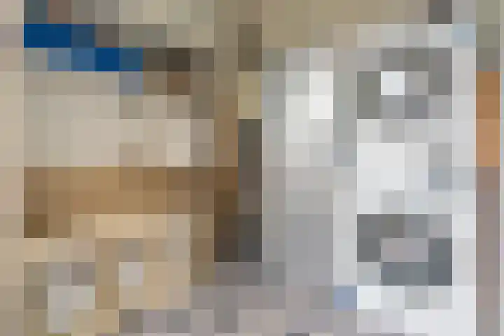 Boekhorstlaan 2 Voorhout thumbnail 11