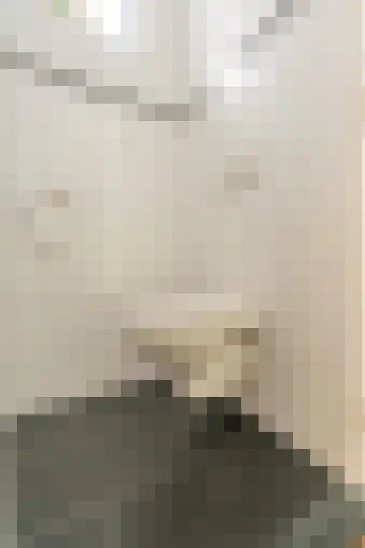 Boekhorstlaan 2 Voorhout thumbnail 13