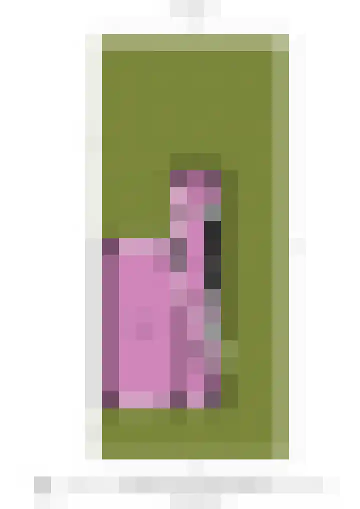 Boekhorstlaan 2 Voorhout thumbnail 38