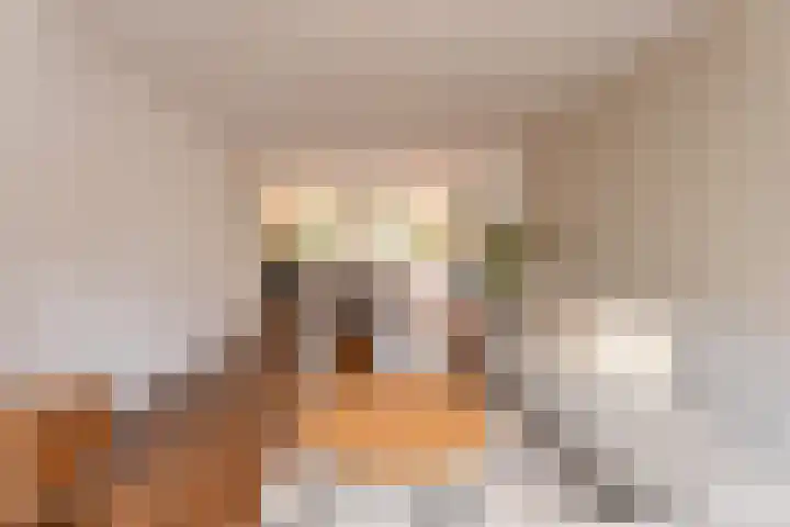 Boekhorstlaan 2 Voorhout thumbnail 6