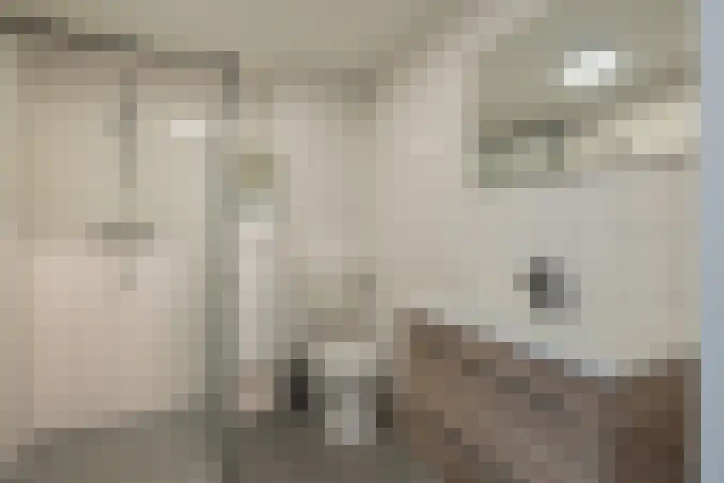 Boekhorstlaan 206 Voorhout thumbnail 28