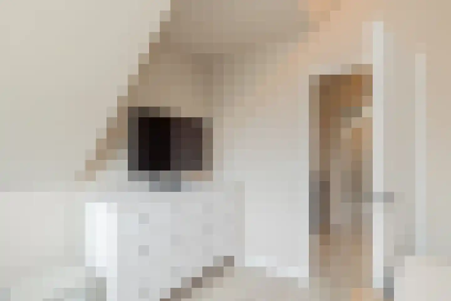 Boekhorstlaan 206 Voorhout thumbnail 38