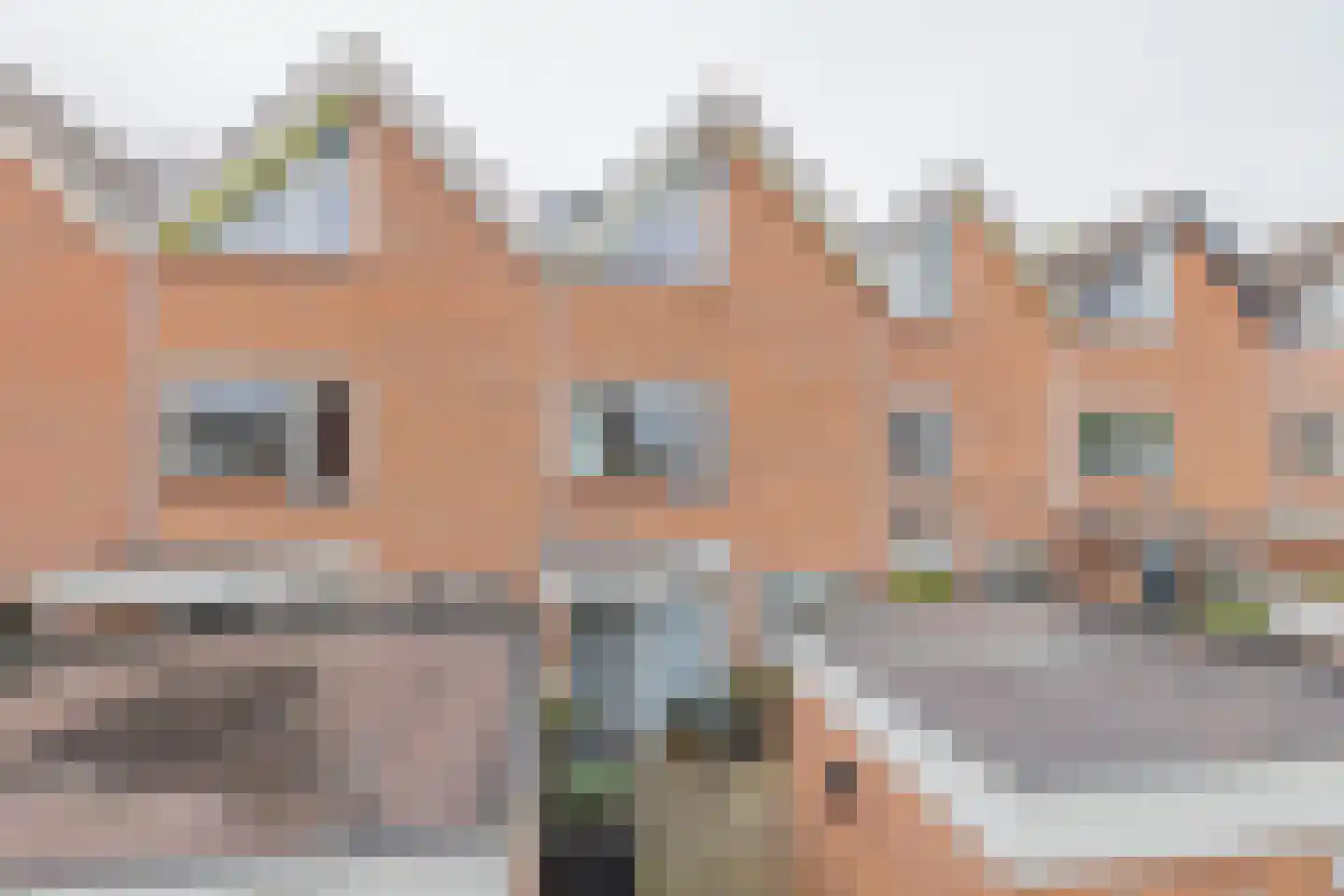 Boekhorstlaan 206 Voorhout thumbnail 43